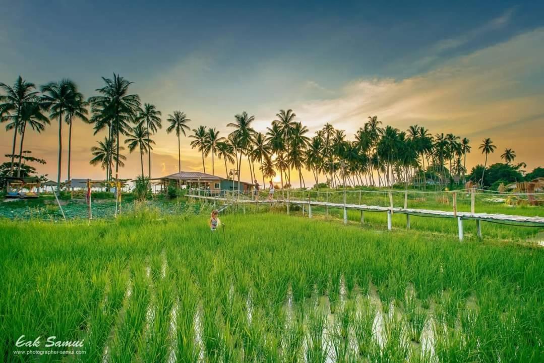 Talay Taling Ngam Samui Hotel Exterior photo