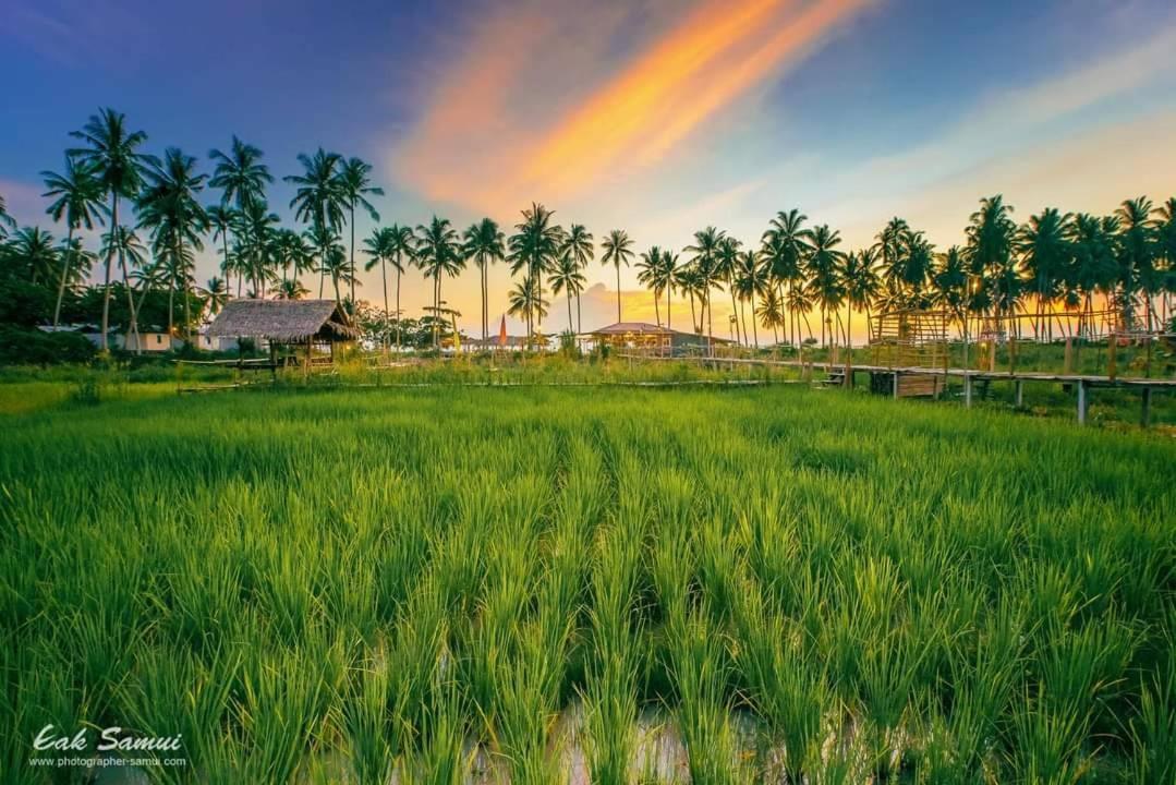 Talay Taling Ngam Samui Hotel Exterior photo